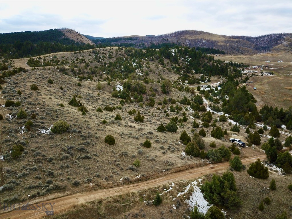 Ponderosa Pines - Land