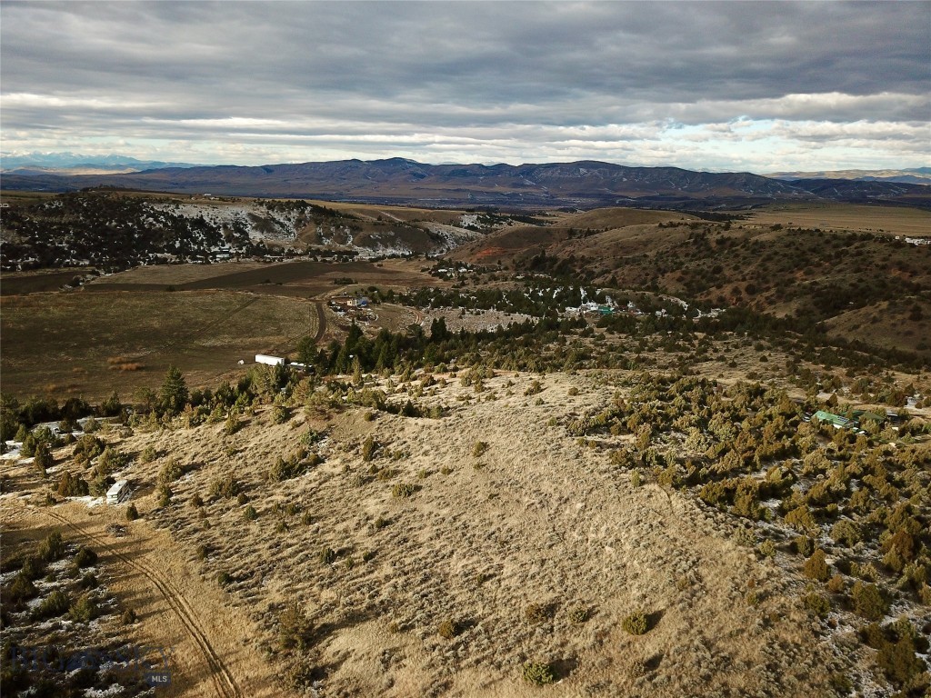 Ponderosa Pines - Land