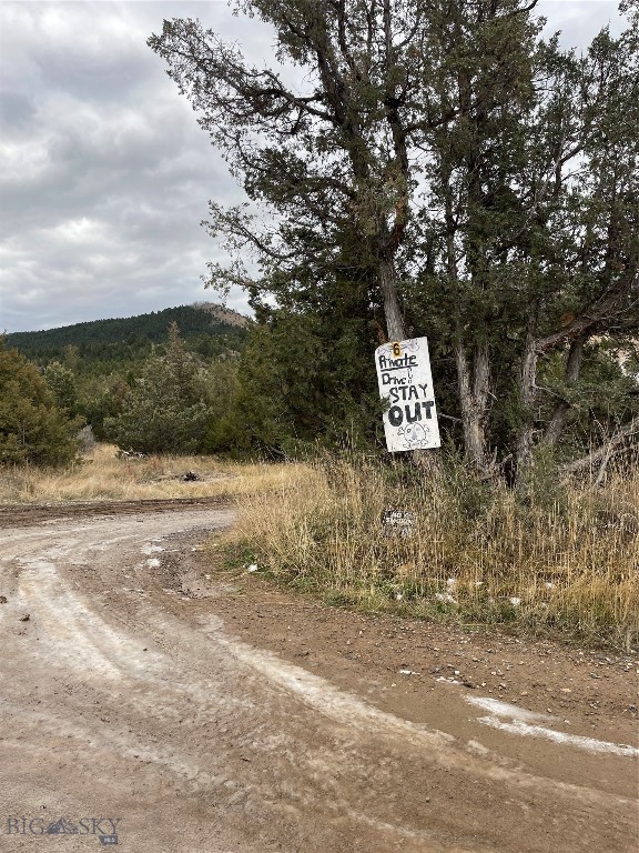 Ponderosa Pines - Land