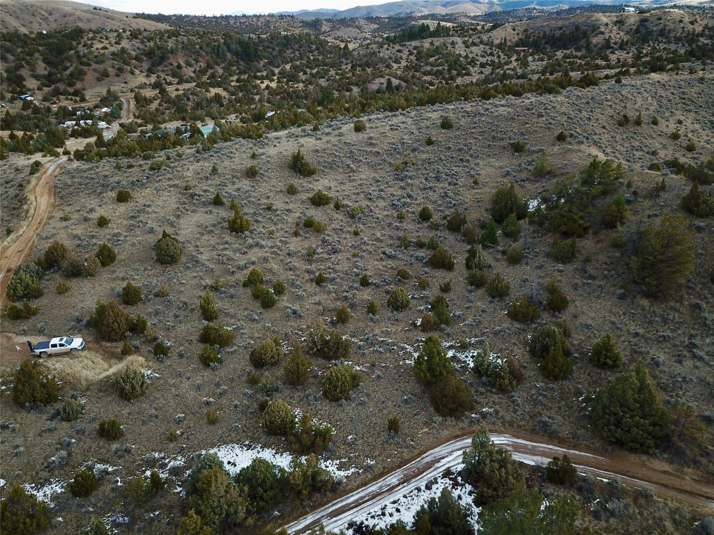 Ponderosa Pines - Land