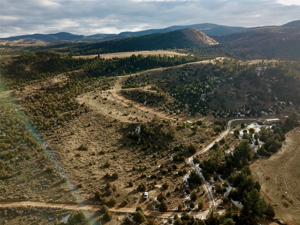 Ponderosa Pines - Land
