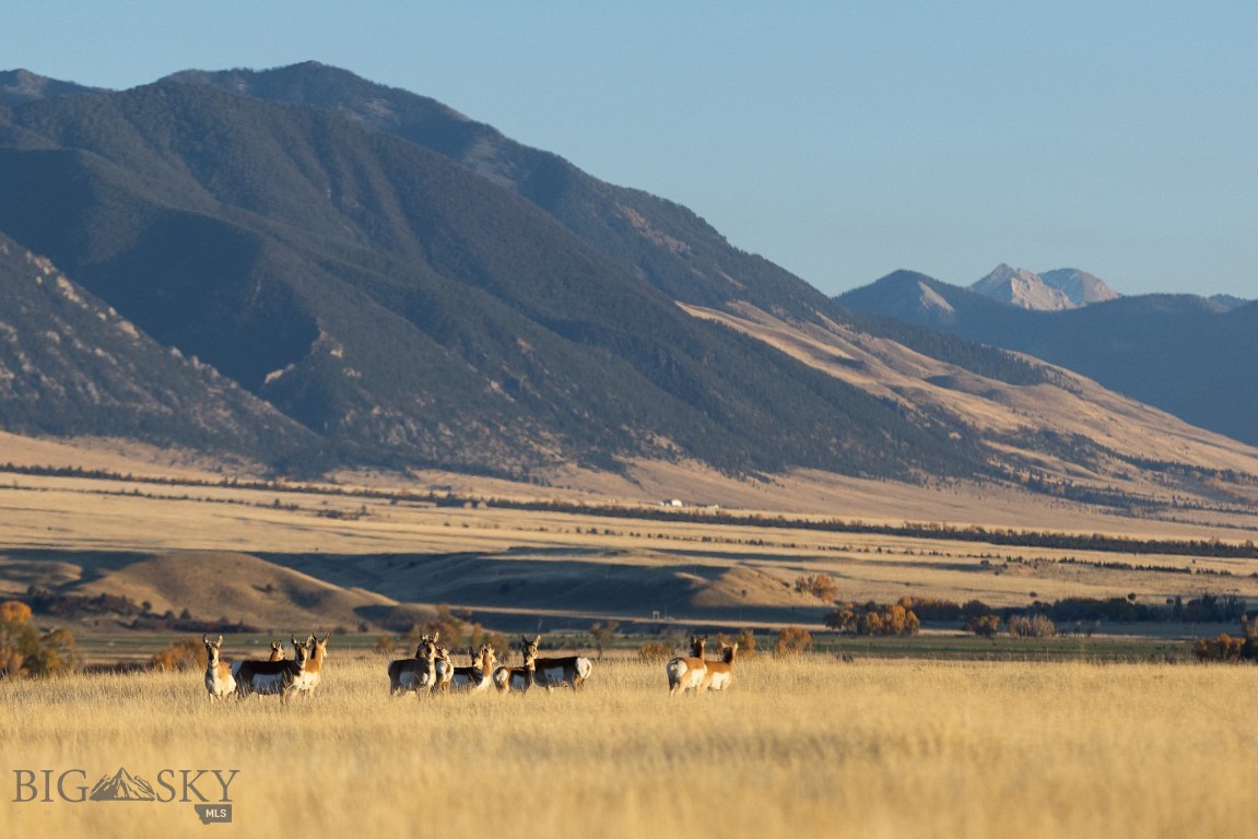 North Forty - Residential Income