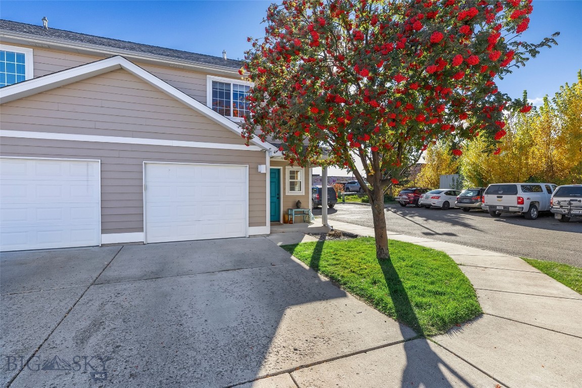 Bridger Condos - Residential