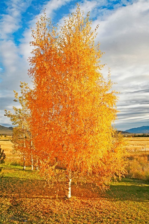 Virginia City Ranches - Residential