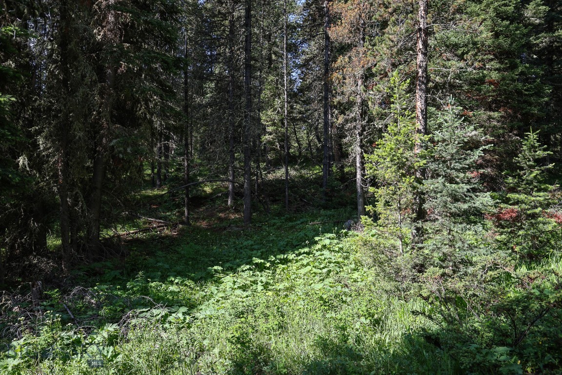 Ranches Neighborhood - Land