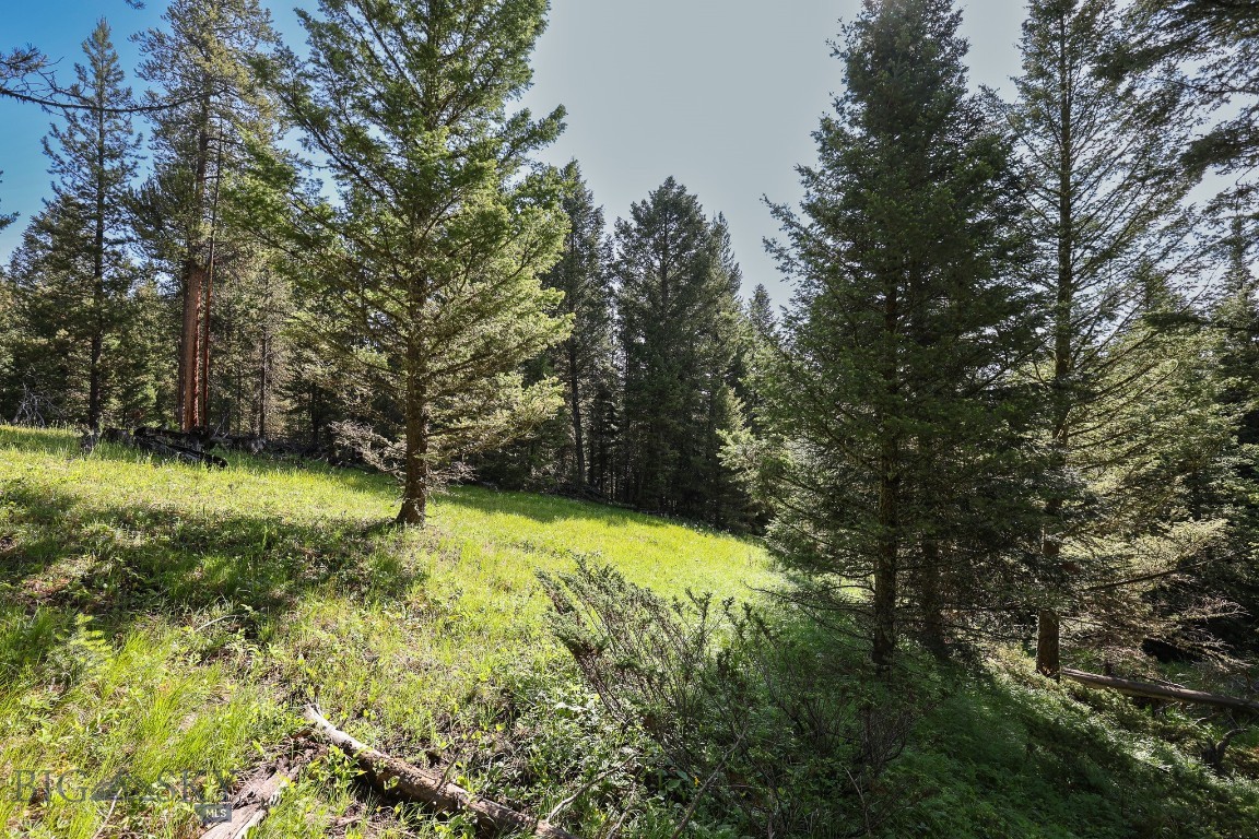 Ranches Neighborhood - Land
