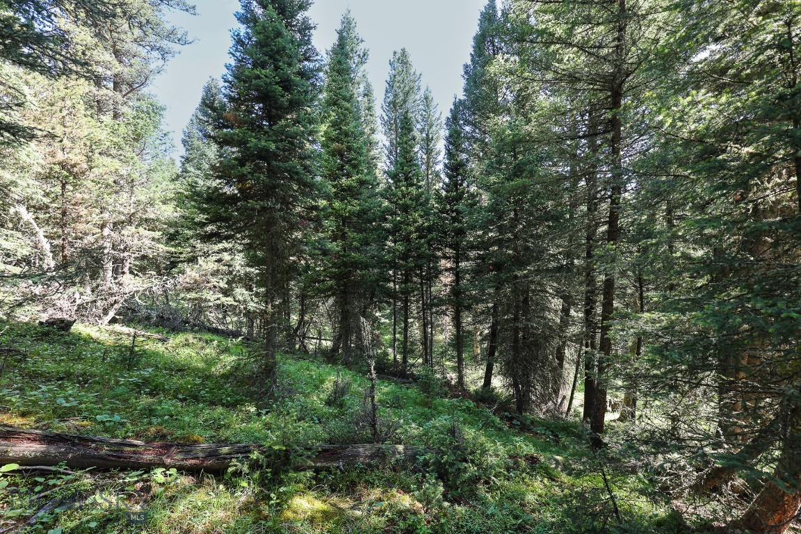 Ranches Neighborhood - Land