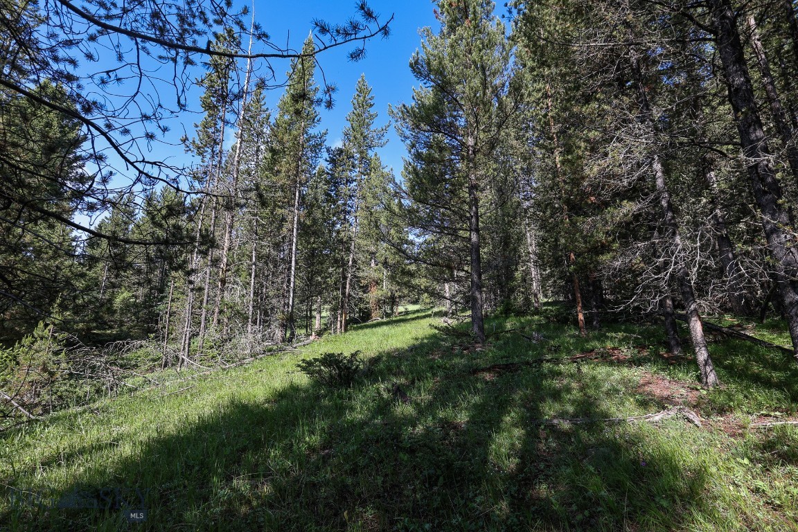 Ranches Neighborhood - Land