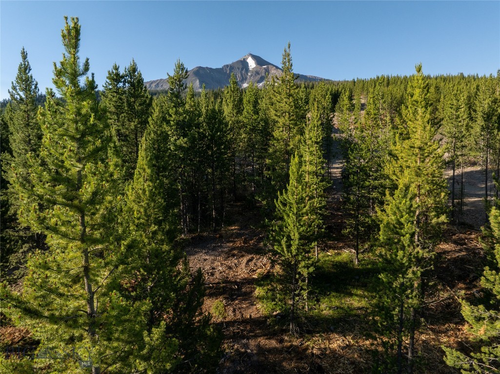 TBD Sawtooth Road Lot 10