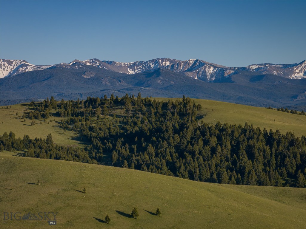 3793 MT Highway 1