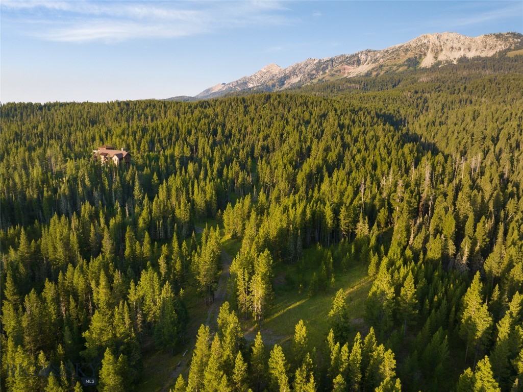 Bozeman, Montana 59715, United States, ,Land,Active,25139