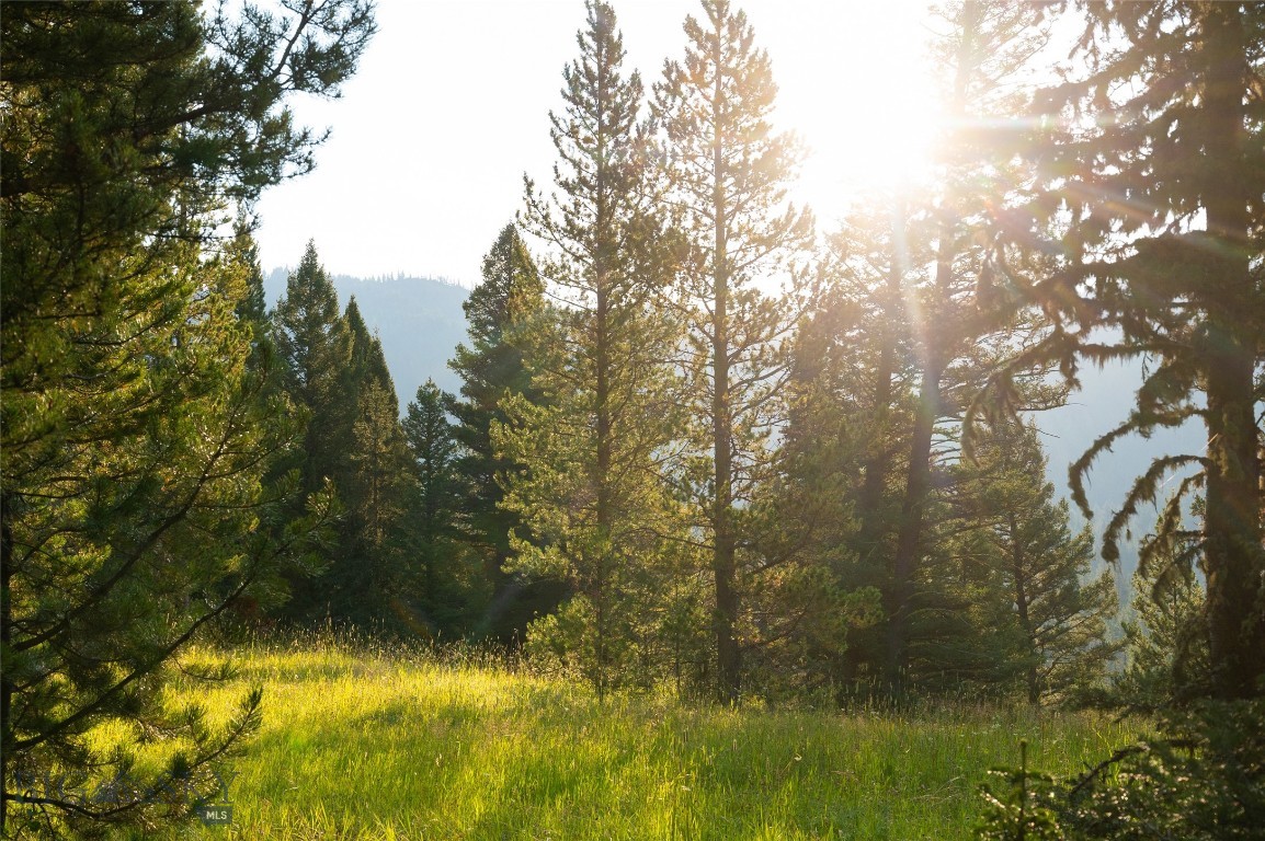 Bozeman, Montana 59715, United States, ,Land,Active,25139