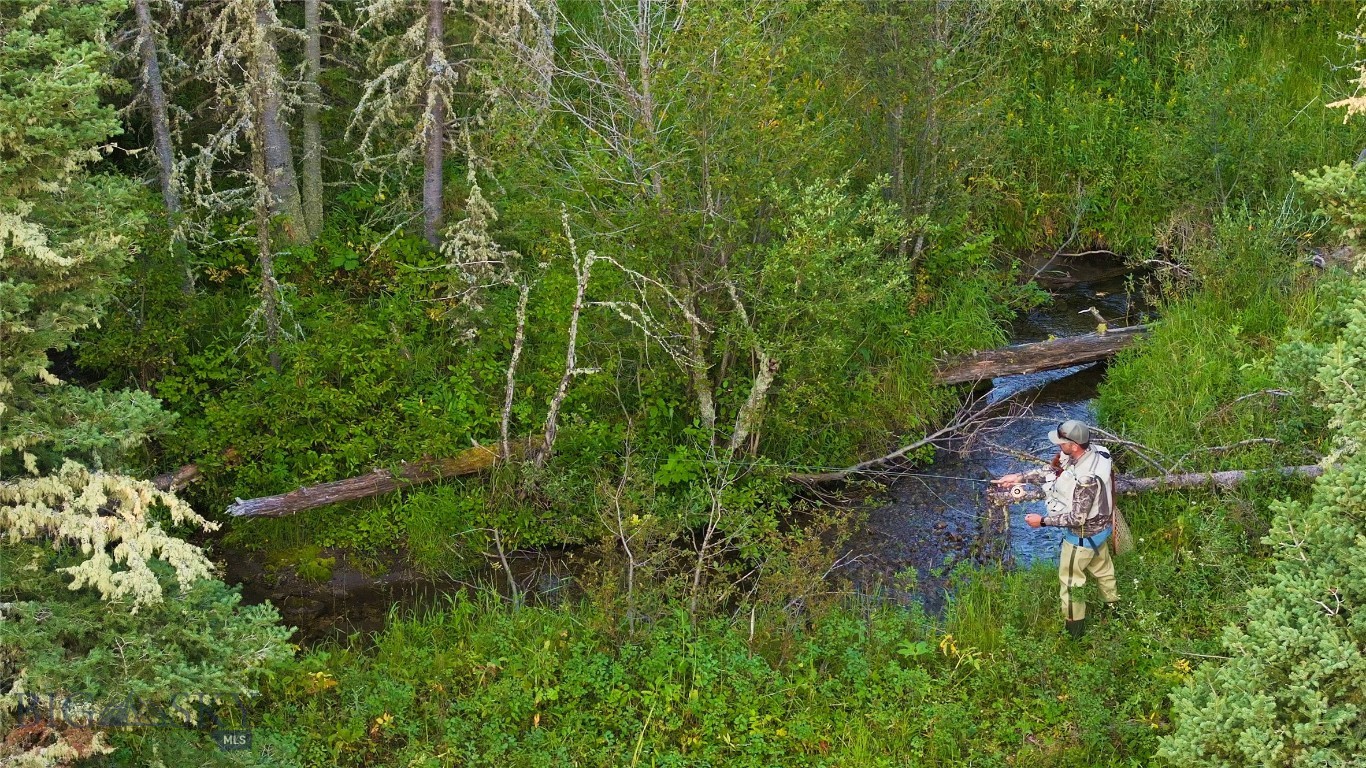 Bozeman, Montana 59715, United States, ,Land,Active,25139