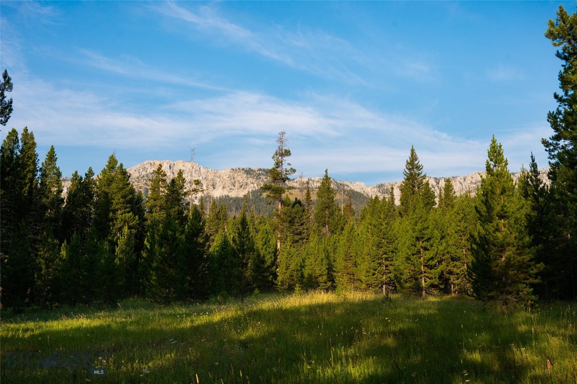 Bozeman, Montana 59715, United States, ,Land,Active,25139