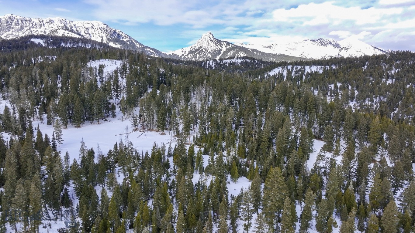 Bozeman, Montana 59715, United States, ,Land,Active,25139