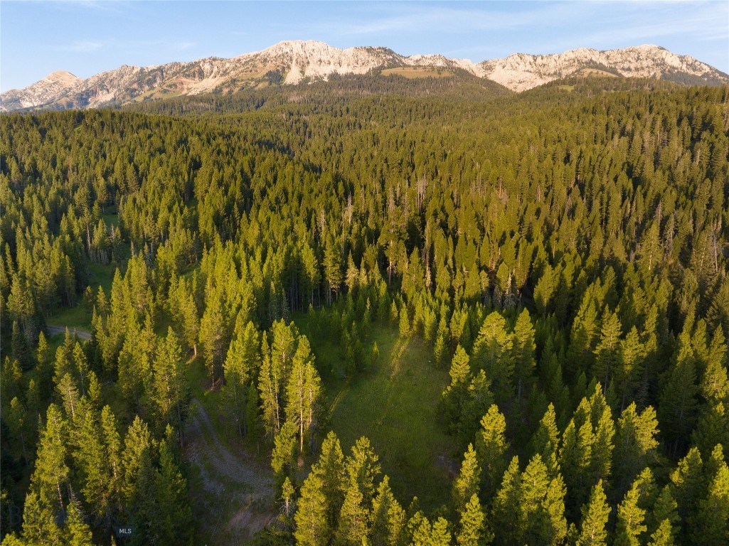 Bozeman, Montana 59715, United States, ,Land,Active,25139