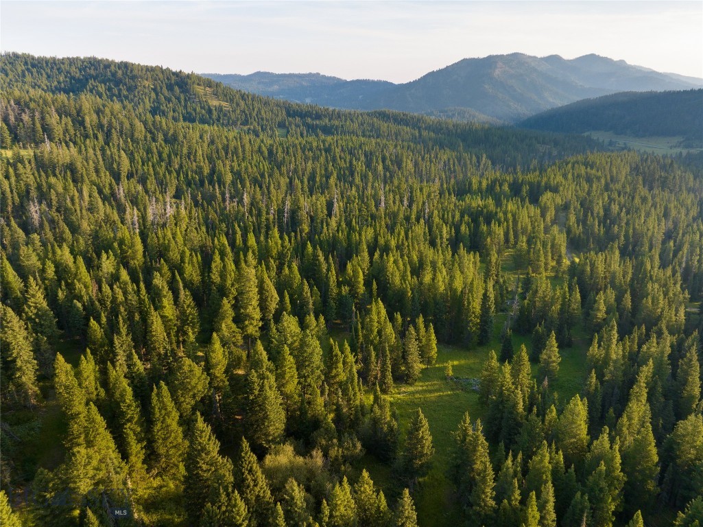 Bozeman, Montana 59715, United States, ,Land,Active,25139