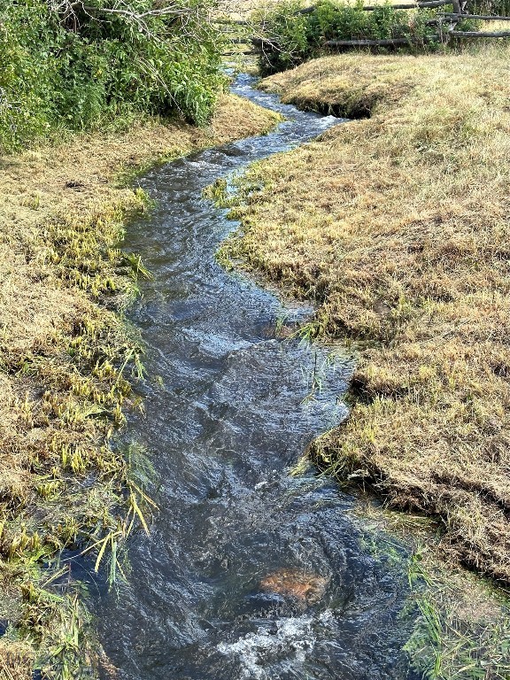 Bozeman, Montana 59718, United States, 3 Bedrooms Bedrooms, ,4 BathroomsBathrooms,Residential,Pending,72436