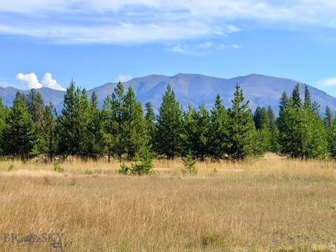 Photo of 422 Daisy Lane, Seeley Lake, MT 59868 (MLS # 415397)
