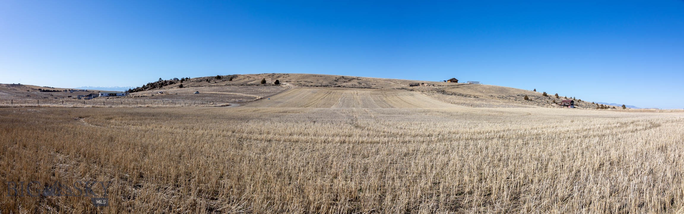Ponderosa Pines - Land