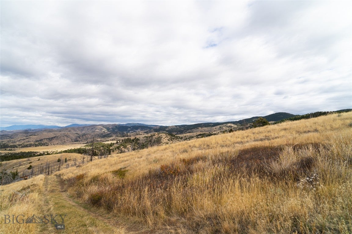 TBD Skyline Road