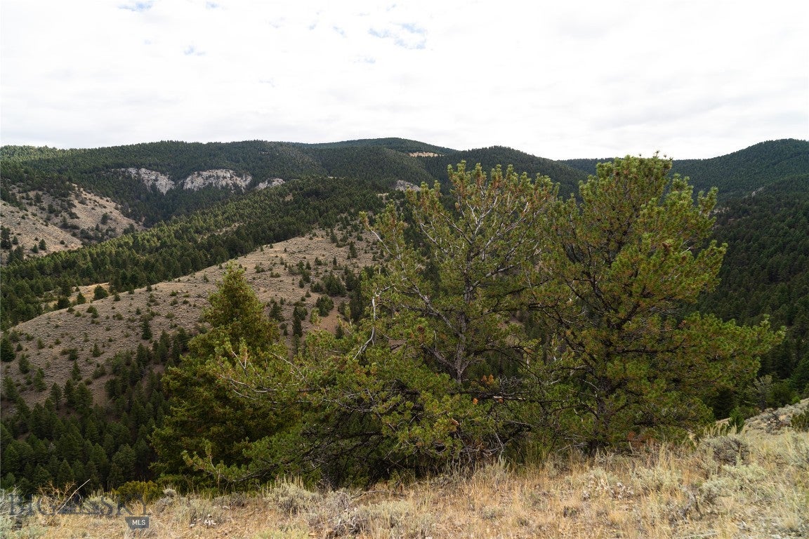 TBD Skyline Road