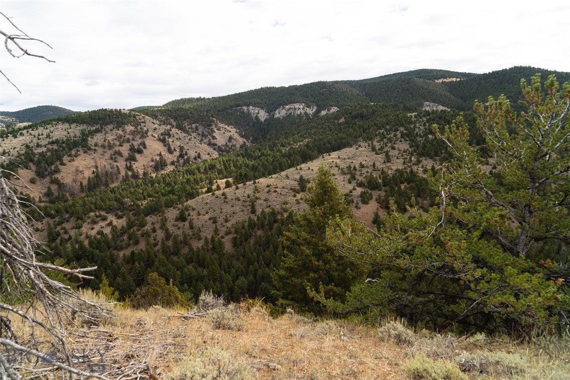 TBD Skyline Road