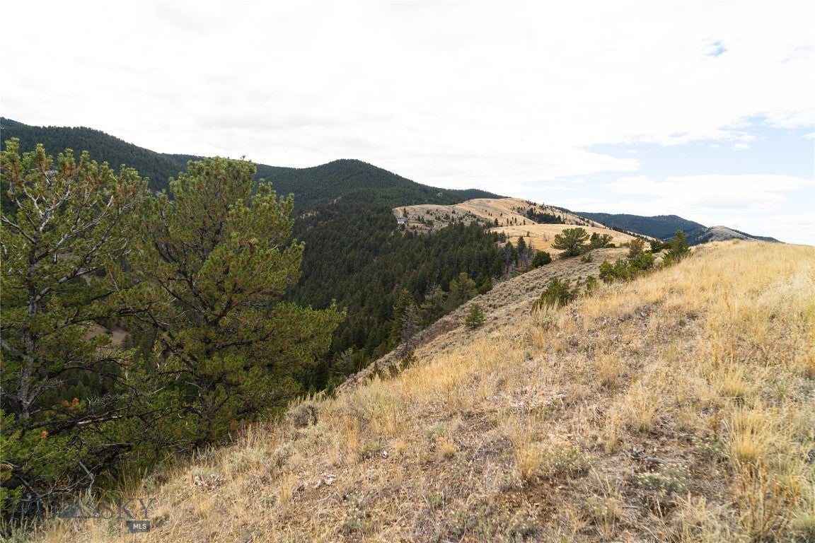 TBD Skyline Road
