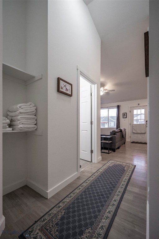 Montague - Residential