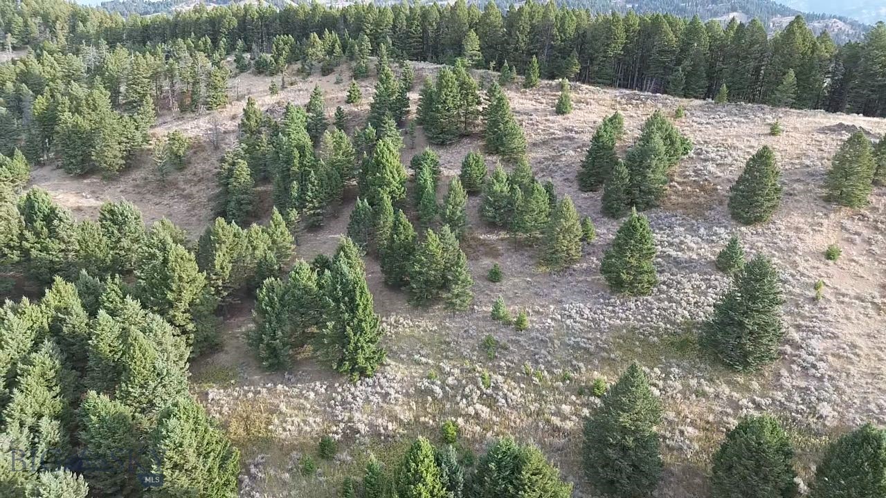 None - Farm