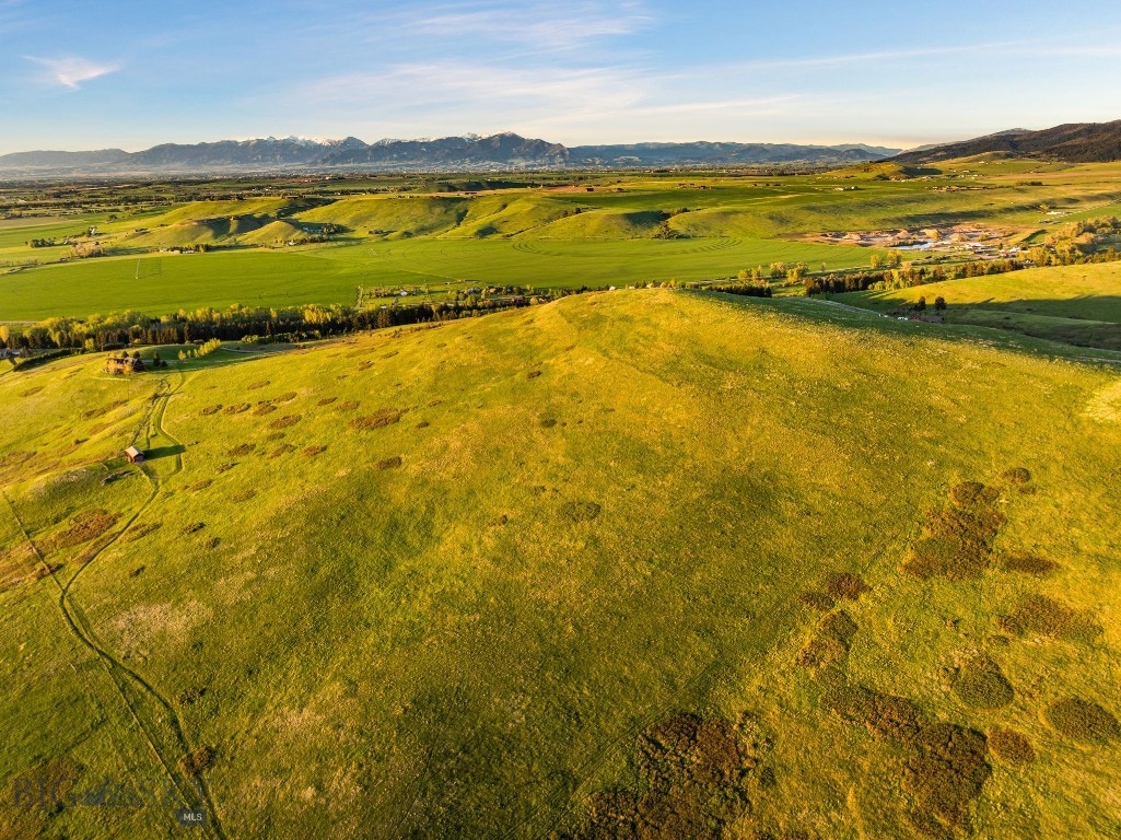 Bear Creek Properties - Land