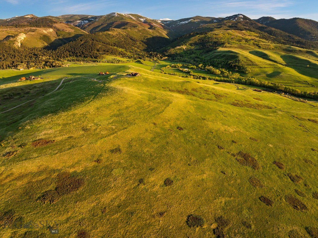 Bear Creek Properties - Land