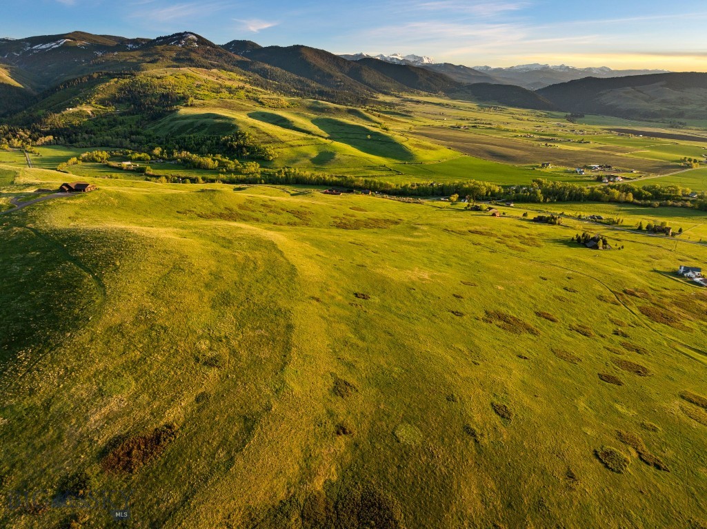 Bear Creek Properties - Land