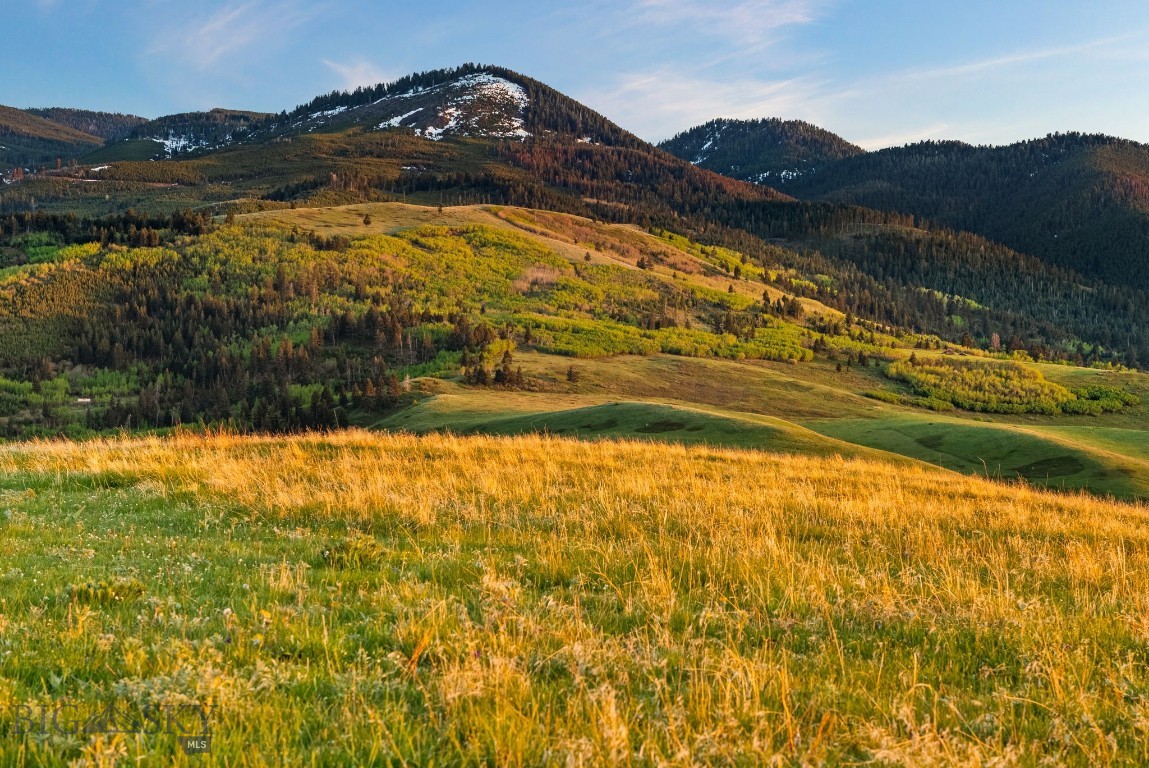 Bear Creek Properties - Land