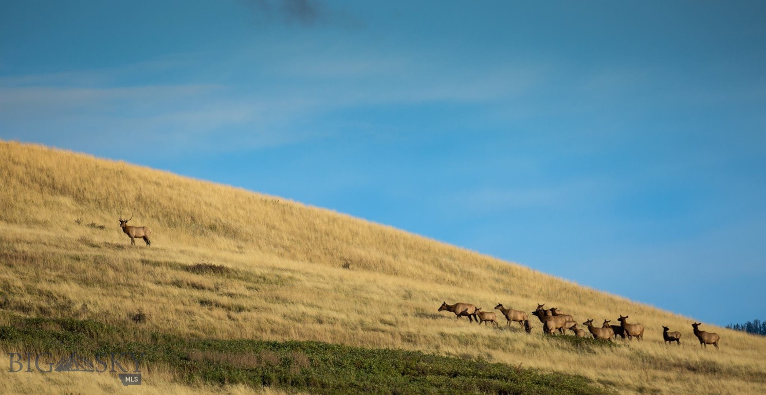 Bear Creek Properties - Land