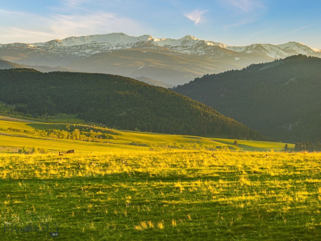 Bear Creek Properties - Land