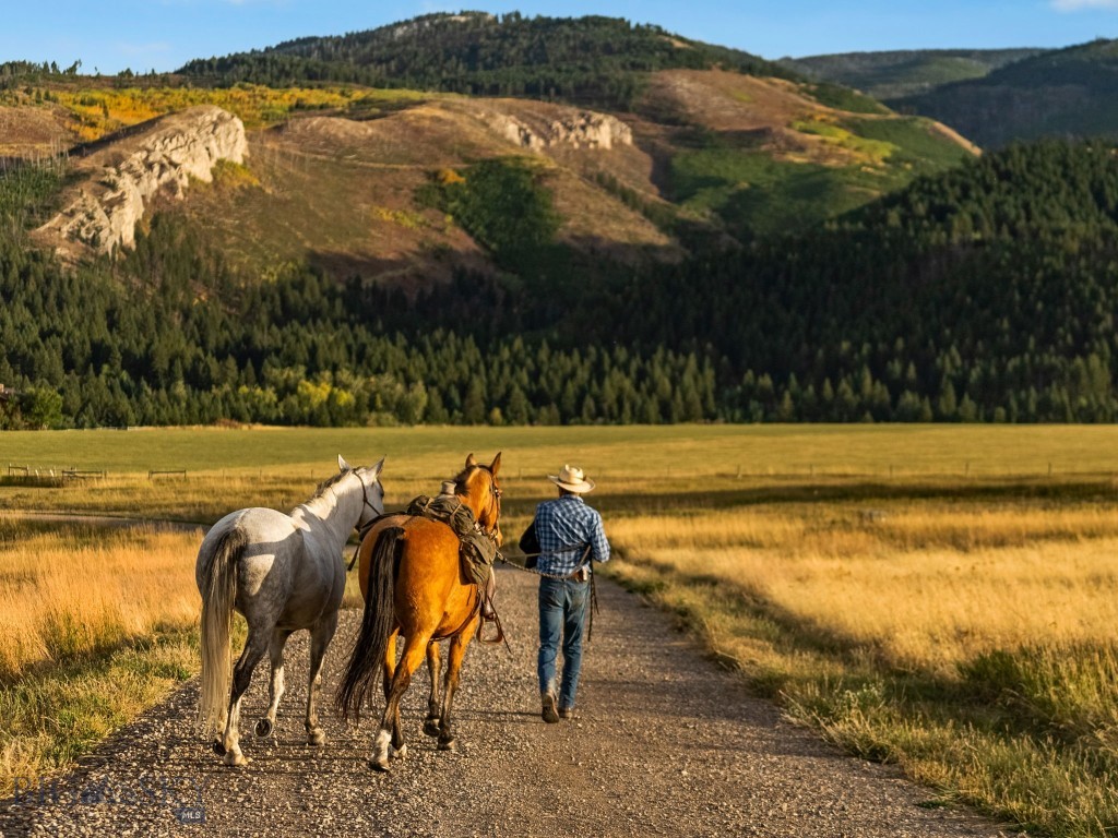 Bear Creek Properties - Land