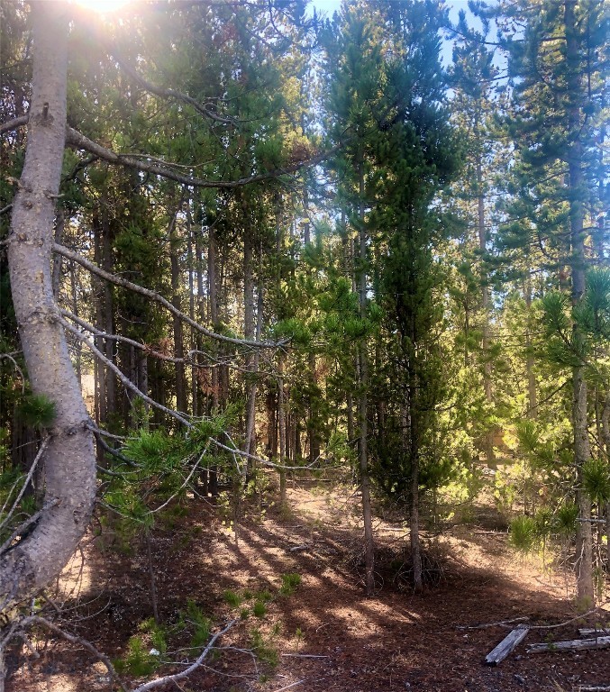 Madison Addition - Land