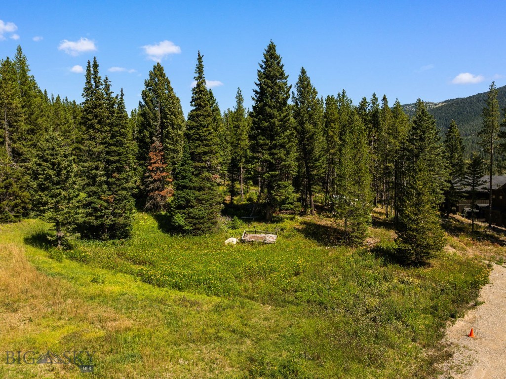 Bridger Pines - Land