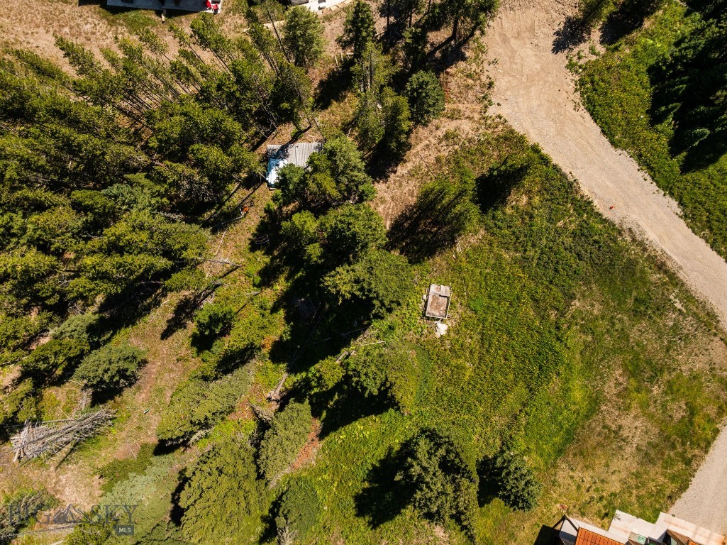 Bridger Pines - Land