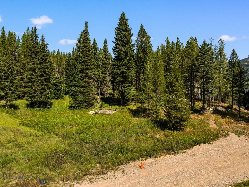 Bridger Pines - Land