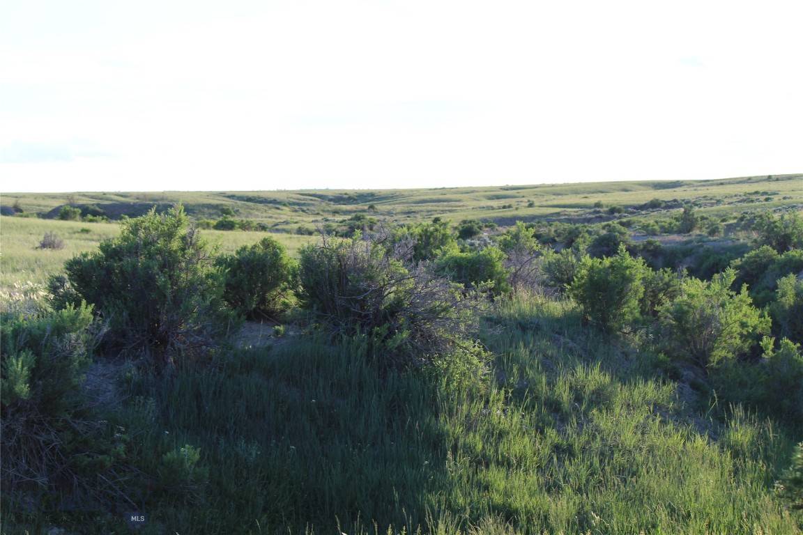 Other - Land