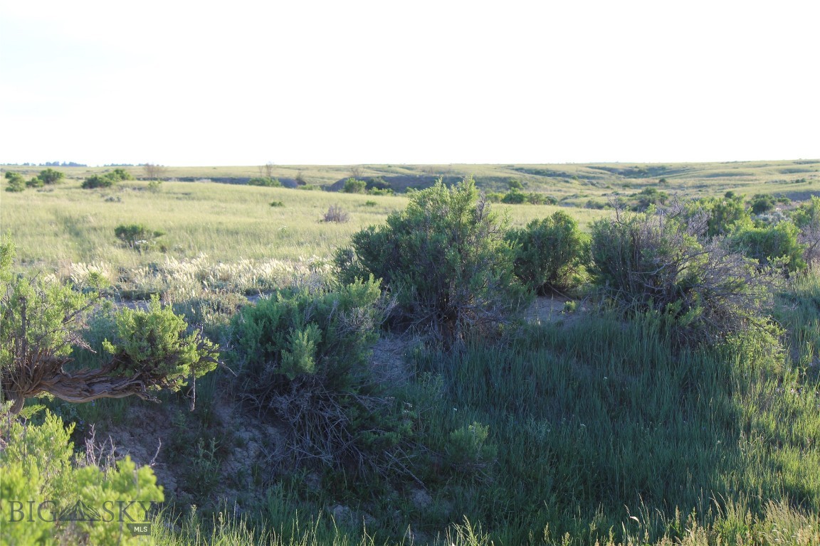 Other - Land