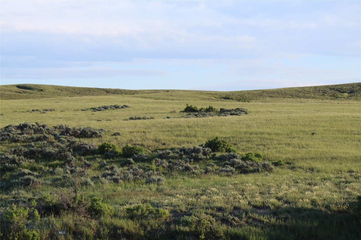 Other - Land