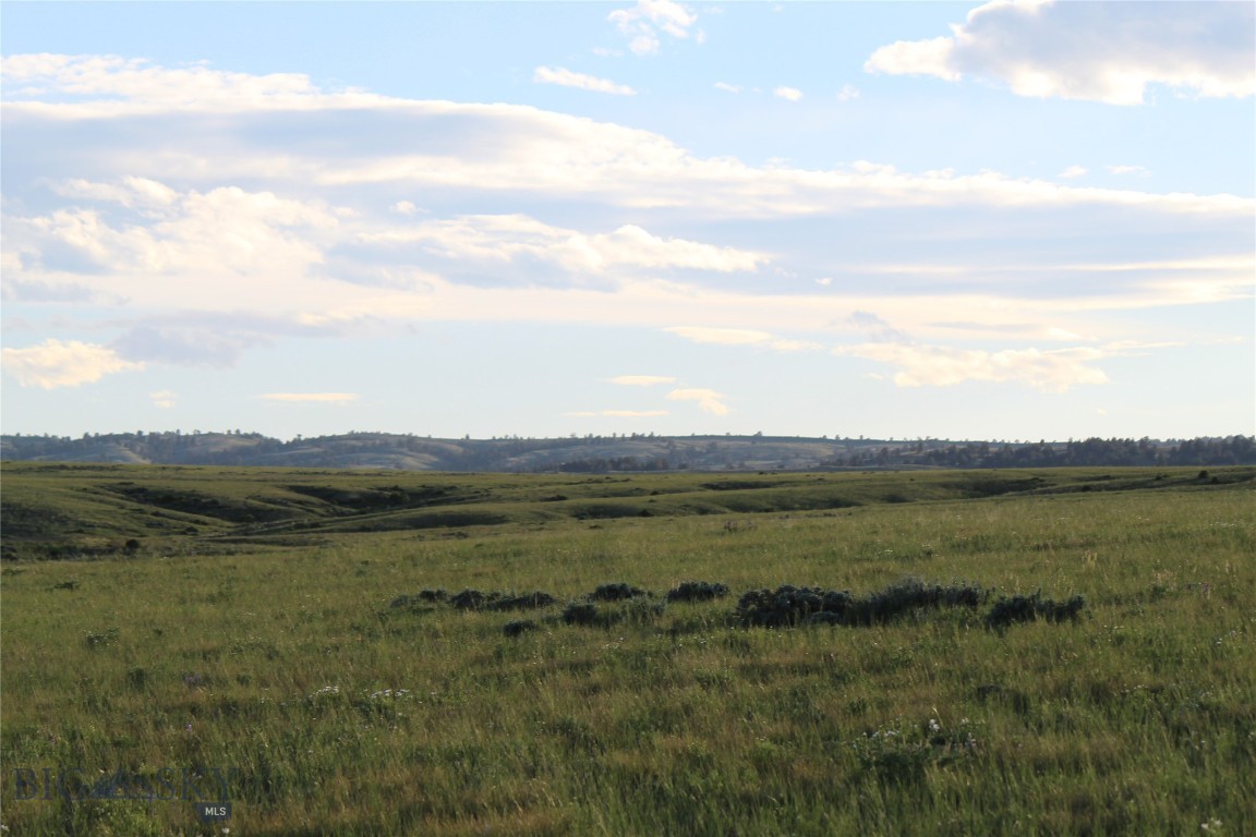 Other - Land