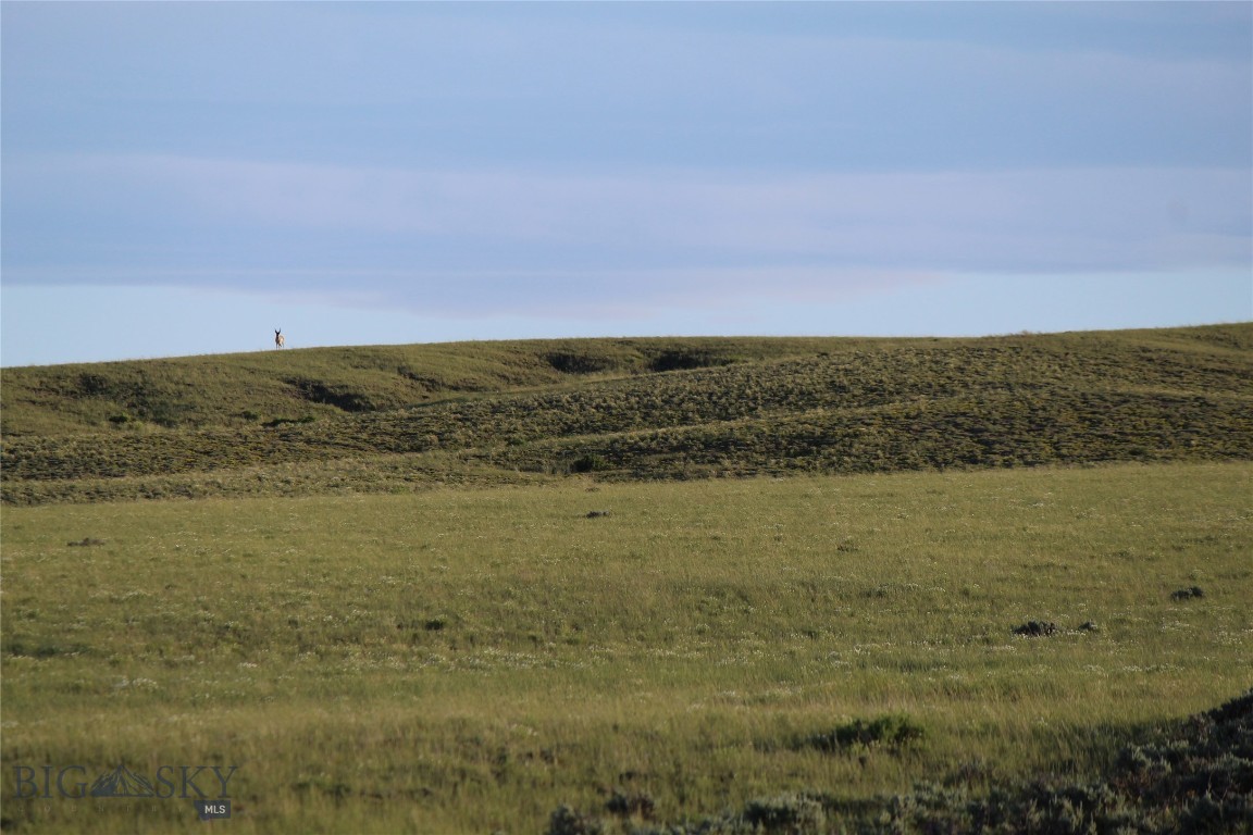 Other - Land