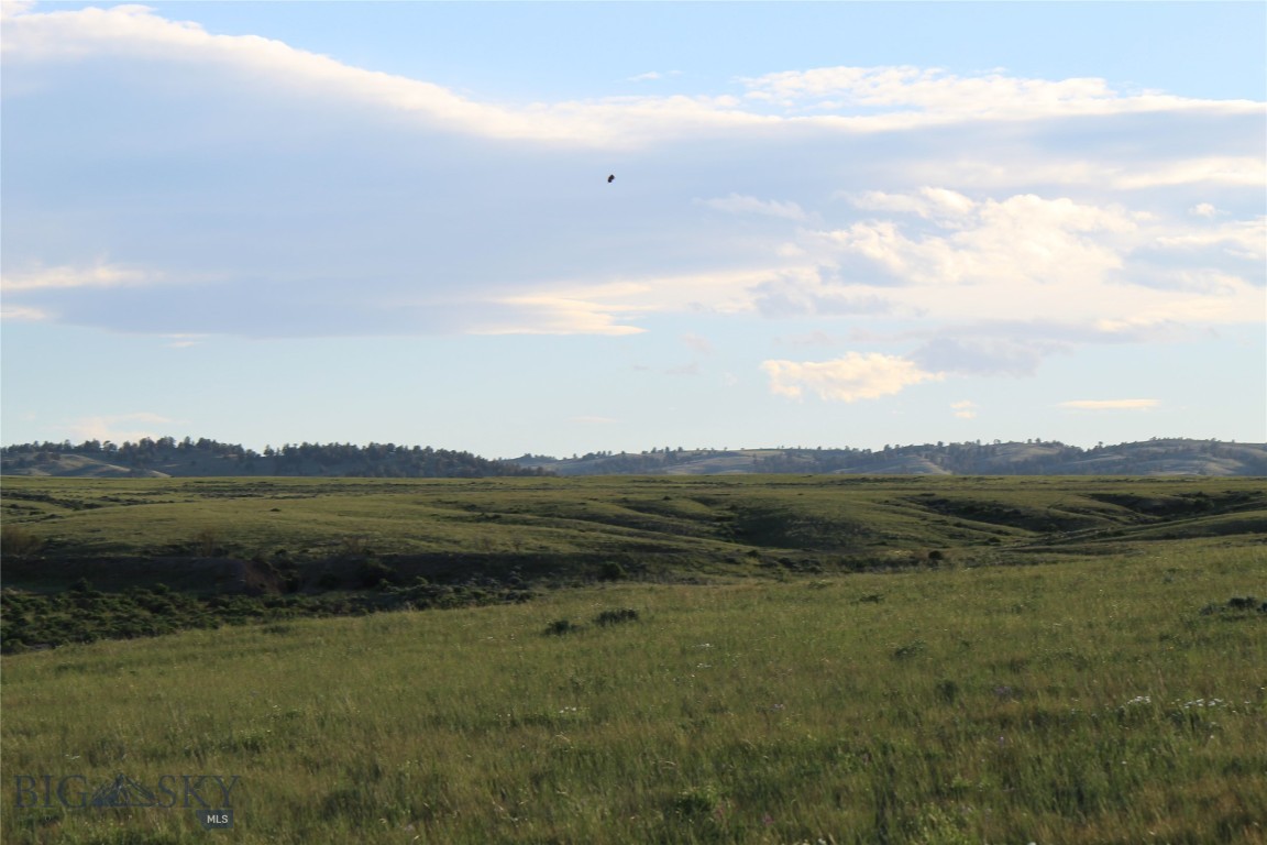 Other - Land