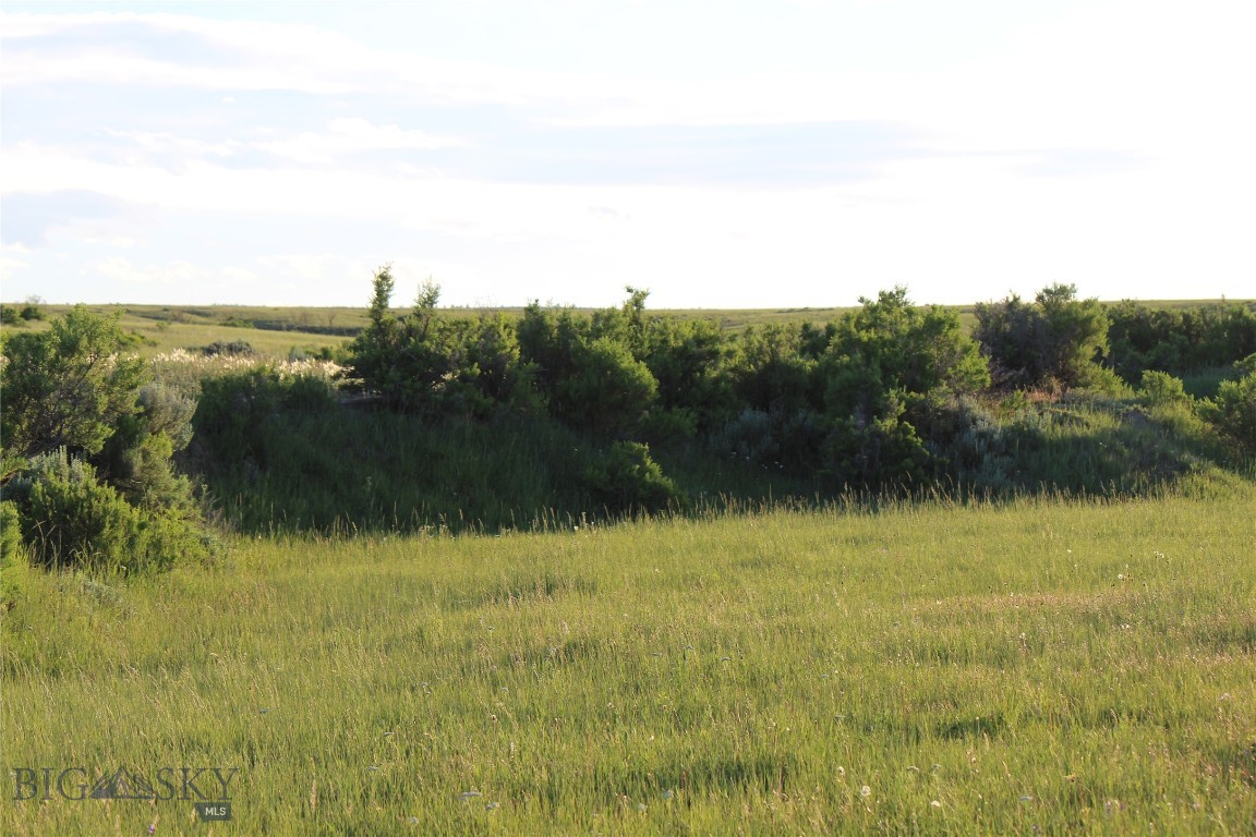 Other - Land