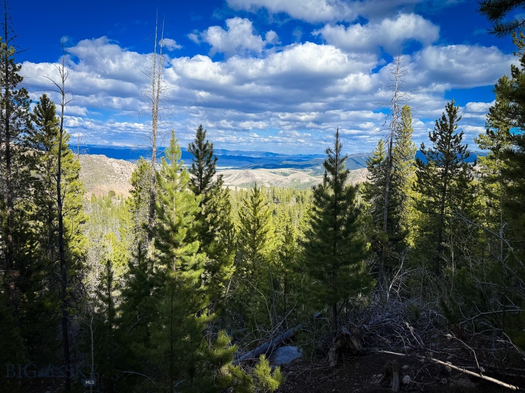 Other - Land