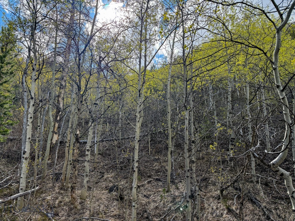Other - Land